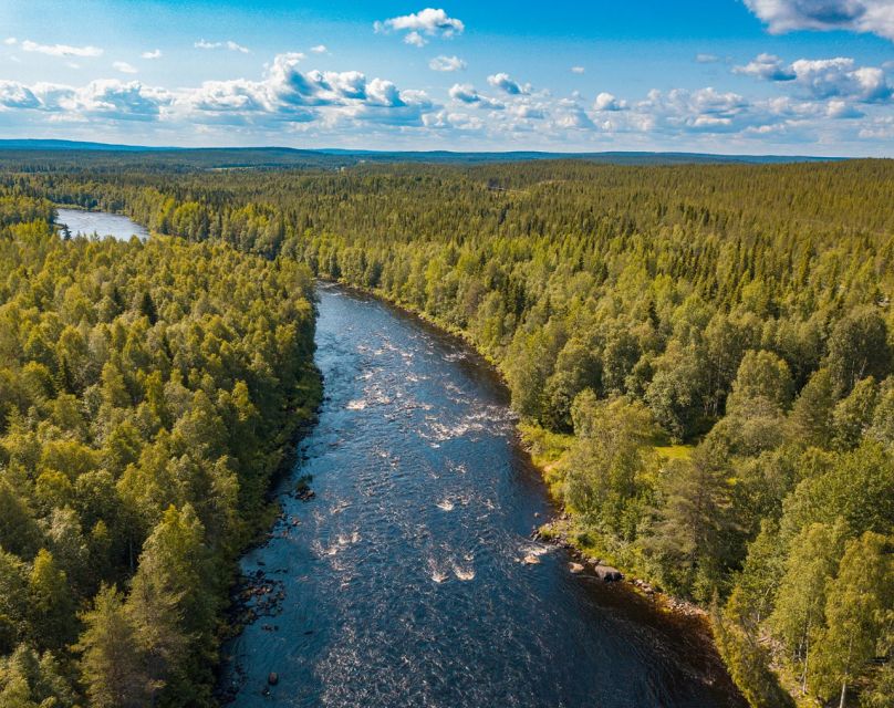 From Rovaniemi: Vikaköngäs Forest Hiking Tour - Who will enjoy this forest tour most