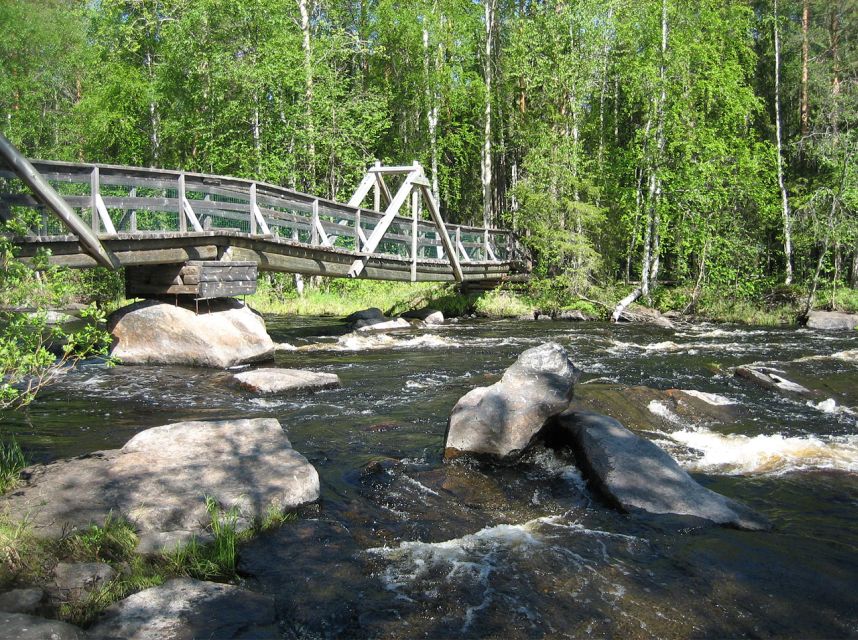From Rovaniemi: Vikaköngäs Forest Hiking Tour - Pickup from Rovaniemi and the small-group format