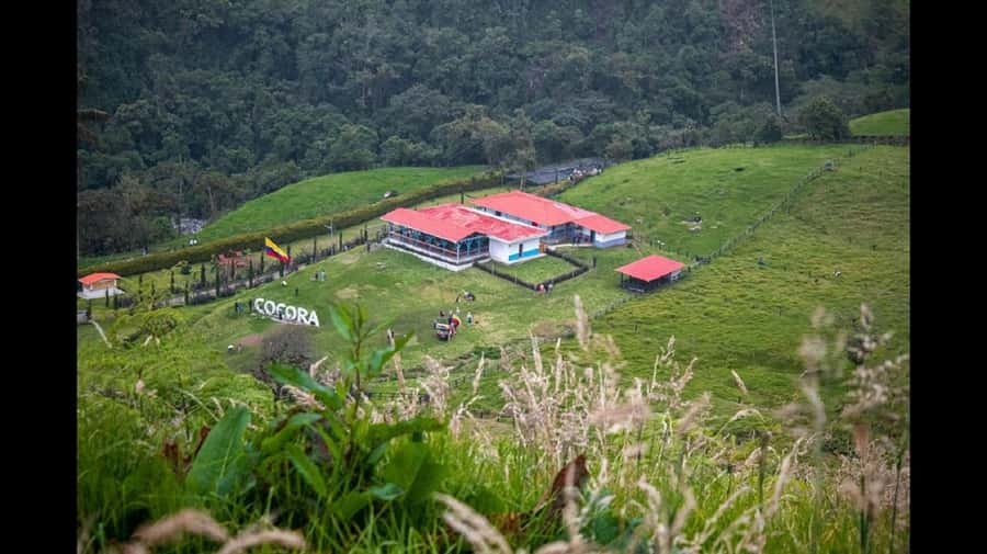 From Salento: Cocora Valley Hiking Tour with Lunch - What makes this Cocora Valley outing worth your day