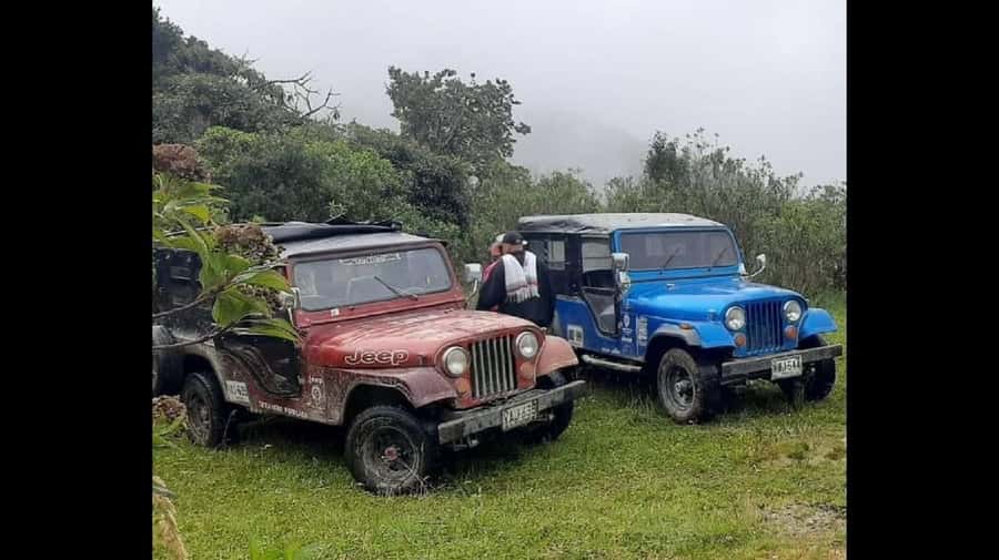 From Salento: Cocora Valley Hiking Tour with Lunch - Meeting in Salento at 9:00 am