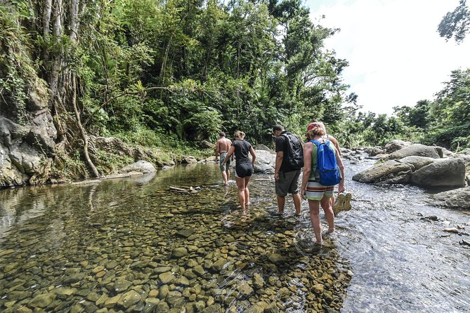 From San Juan: El Yunque Rainforest Hiking Adventure - Why this El Yunque adventure feels different
