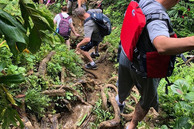 From San Juan: El Yunque Rainforest Hiking Adventure - The late lunch stop and what the $93 covers