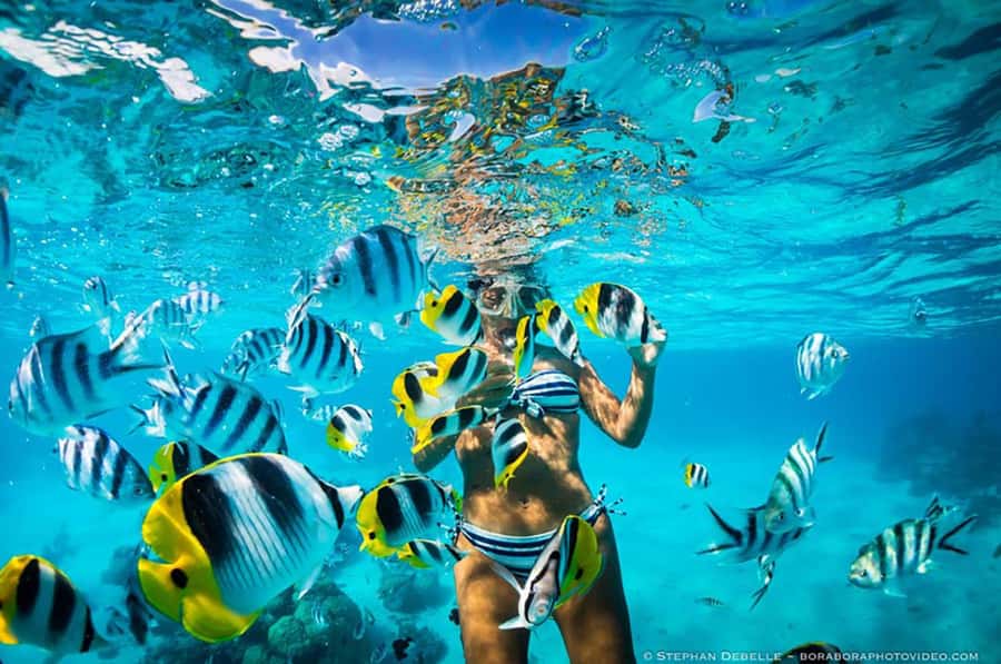 From Santa Marta: Sisiguaca Beach Hike with Snorkeling - From Parque de los Novios to Taganga