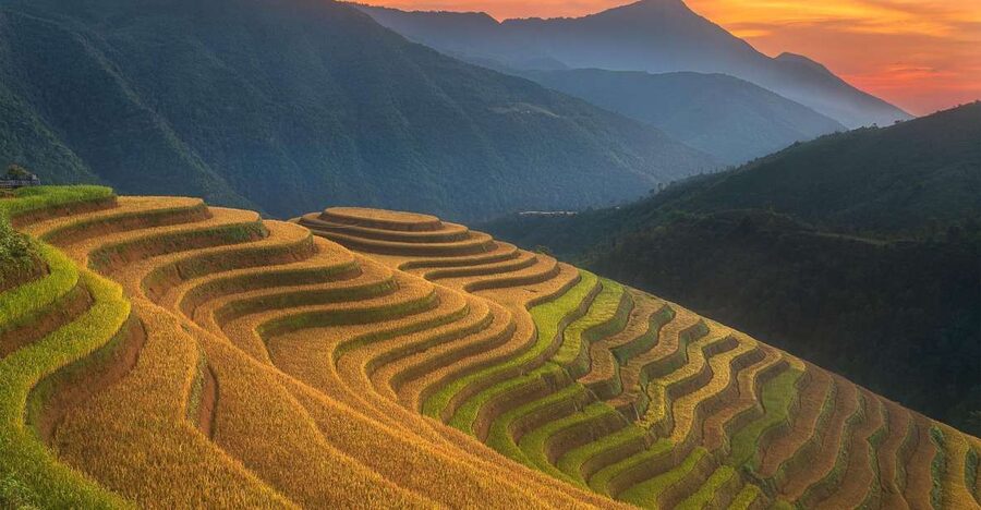 From Sapa: 1-Day Guided Trek to Lao Chai & Ta Van with Lunch - Why this Sapa trek feels more worthwhile than a quick photo stop