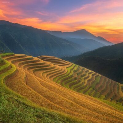 1-Day Guided Trek to Lao Chai & Ta Van with Lunch