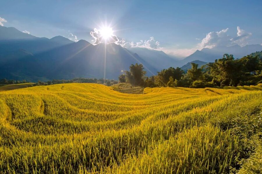 From Sapa: 1-Day Guided Trek to Lao Chai & Ta Van with Lunch - Should you book the Lao Chai and Ta Van trek?