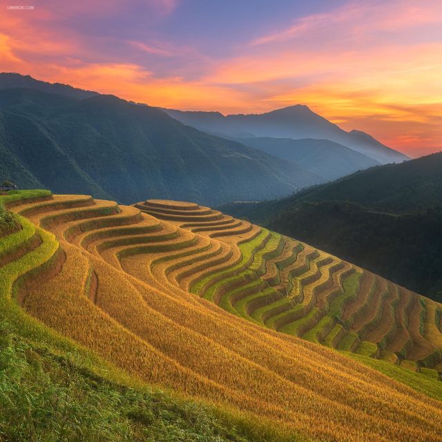 From Sapa: 1-Day Guided Trek to Lao Chai & Ta Van with Lunch - Starting in Sapa and heading toward Lao Chai