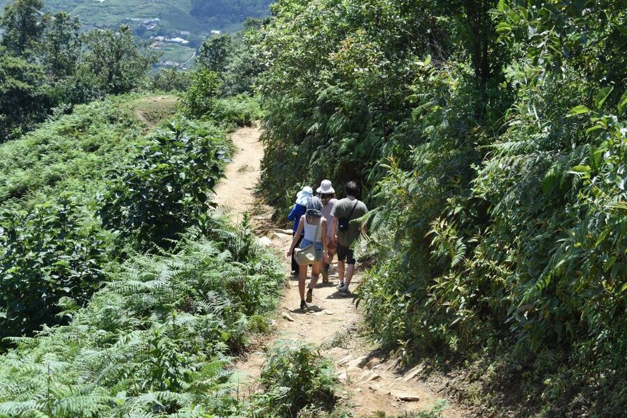 From Sapa: Muong Hoa Valley View & Village Trek 1-Day - Key points at a glance
