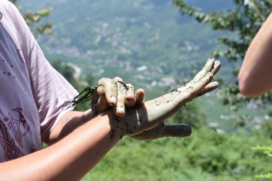 From Sapa: Muong Hoa Valley View & Village Trek 1-Day - Who should book this day out?