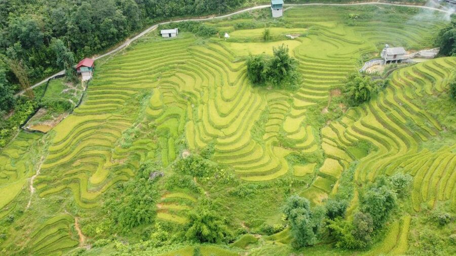 From Sapa: Terrace Fields and Local Villages Trek with Lunch - The return shuttle to Sapa