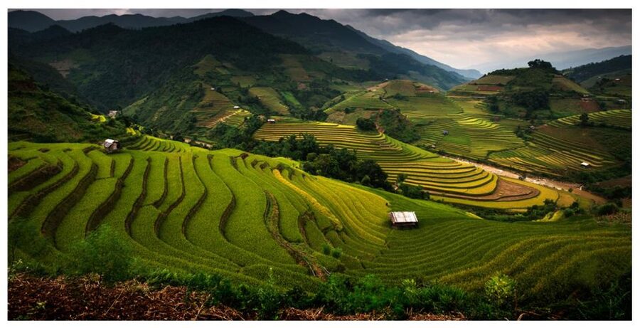 From Sapa: Terrace Fields and Local Villages Trek with Lunch - Terraces, crops, and the changing view