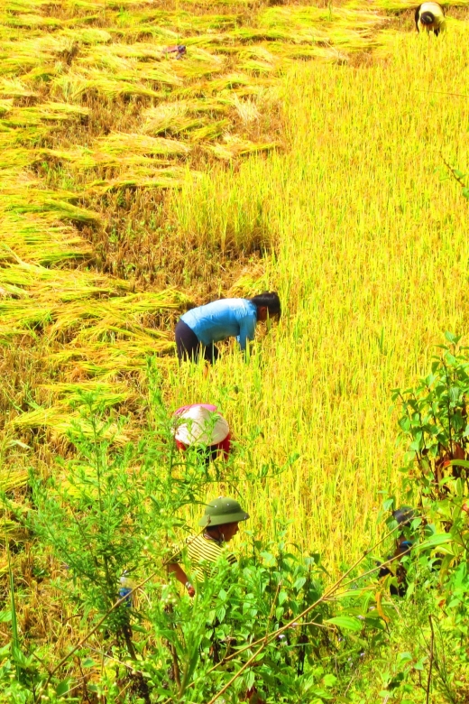 From Sapa: Waterfalls, Trekking and Tribal Villages Tour - Love Waterfall and Tram Ton Pass