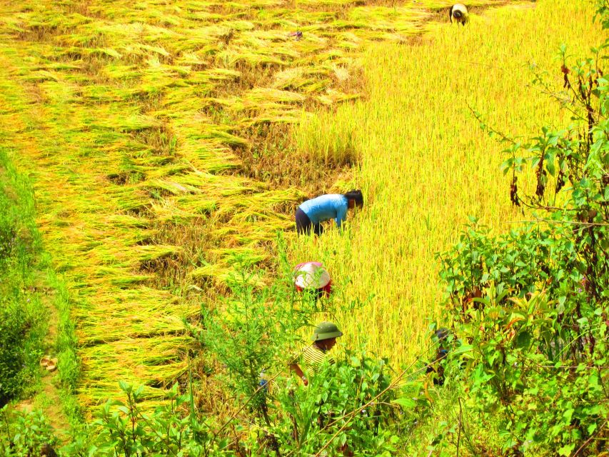 From Sapa: Waterfalls, Trekking and Tribal Villages Tour - Weather can change the day