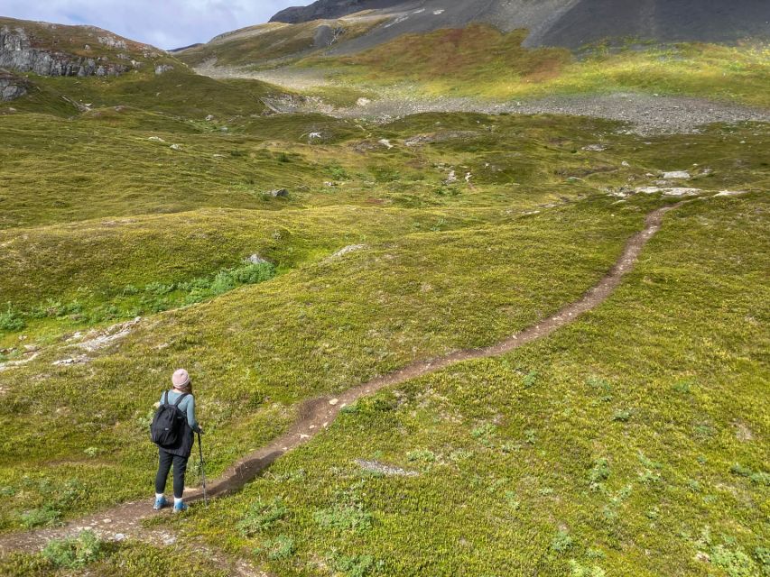 From Seward: Harding Icefield Trail Hiking Tour - Key points to know before booking