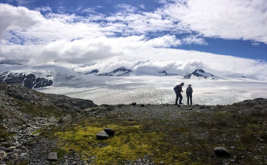 From Seward: Harding Icefield Trail Hiking Tour - Should you book the Harding Icefield Trail tour?