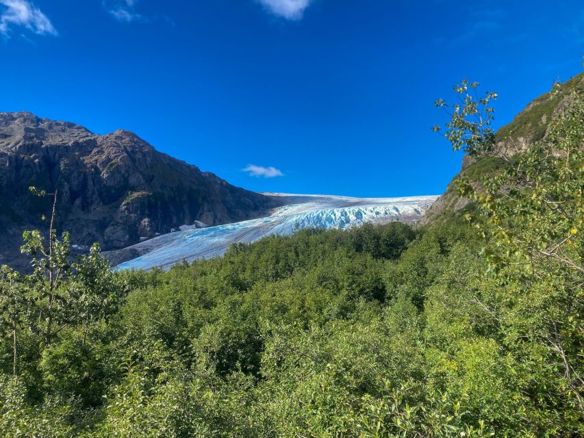From Seward: Harding Icefield Trail Hiking Tour - What the $342 price includes