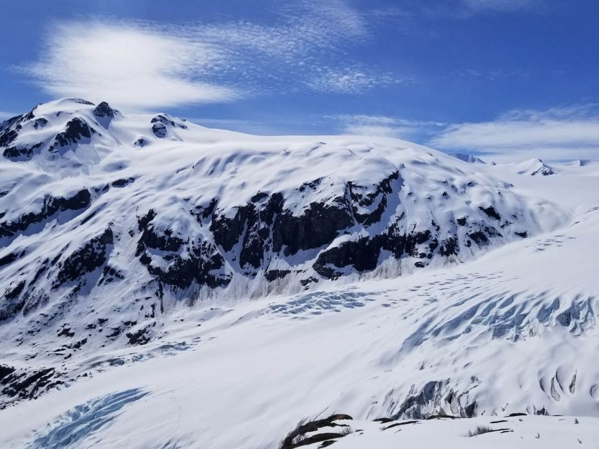 From Seward: Harding Icefield Trail Hiking Tour - Who should book this hike