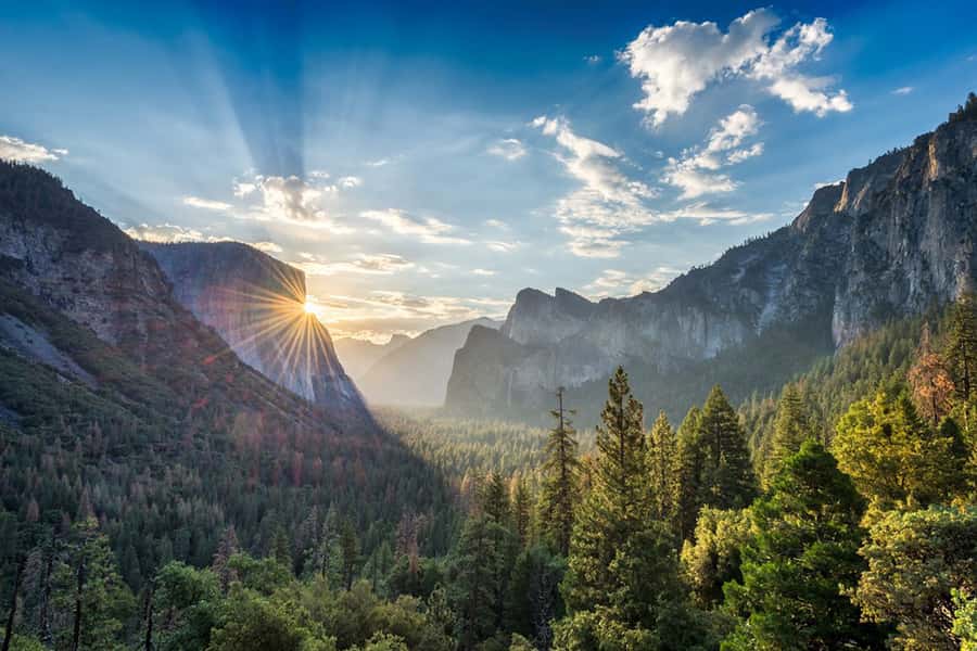 From SF: Yosemite Day Trip with Giant Sequoias Hike & Pickup - Tuolumne Grove and the ancient sequoias