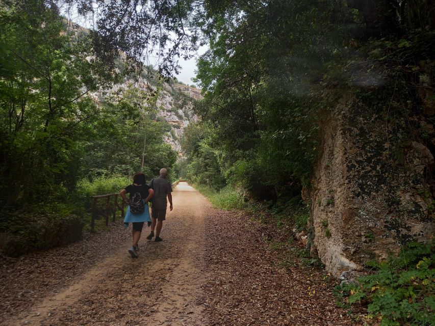 From Siracusa: Pantalica Nature Reserve Guided Hiking Tour - The Anapo Valley and the chance to swim
