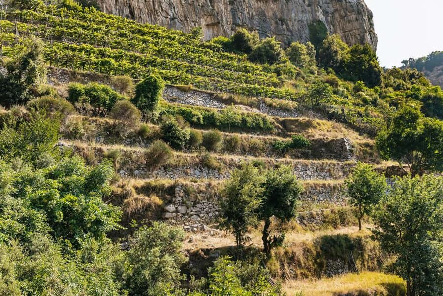 From Sorrento: Path of the Gods Guided Hike with Transfers - Choosing the harder or easier route