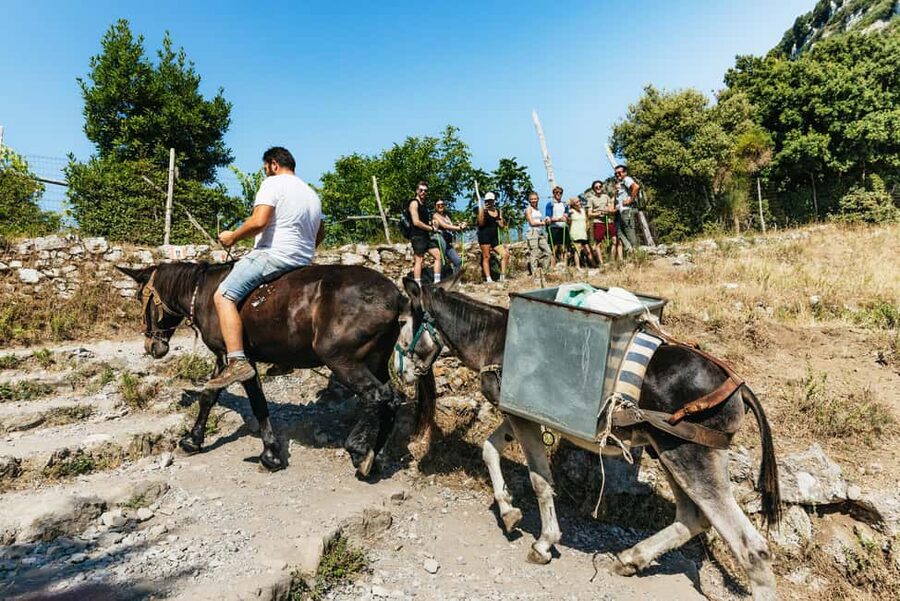From Sorrento: Path of the Gods Guided Hike with Transfers - The shepherd’s hut and the taste of mountain life