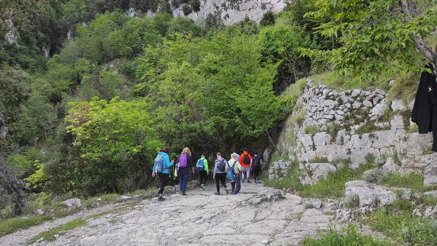 From Sorrento: Path of the Gods Hike with Tasting Stop - Walking through farmhouses, vines, and terraces