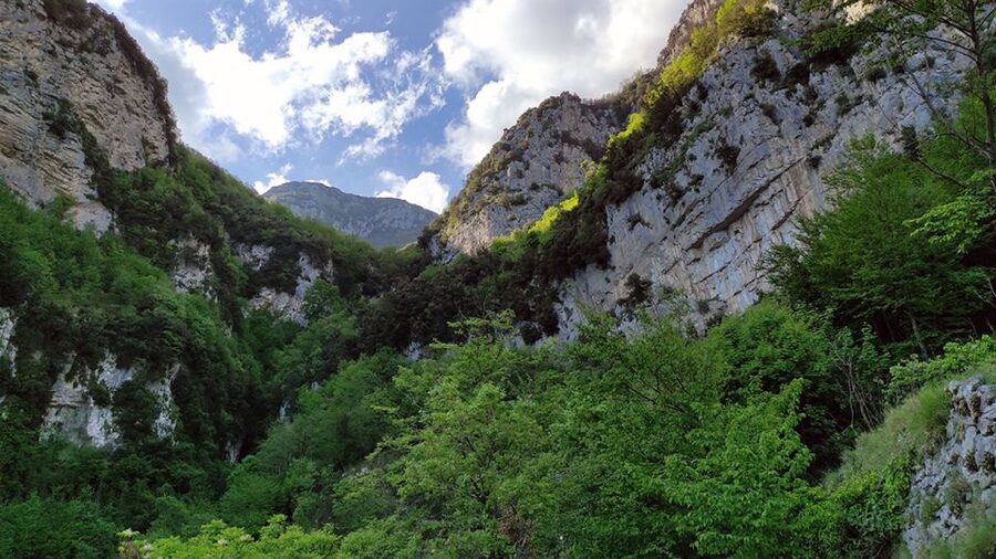 From Sorrento: Path of the Gods Hike with Tasting Stop - Is $129.14 good value?