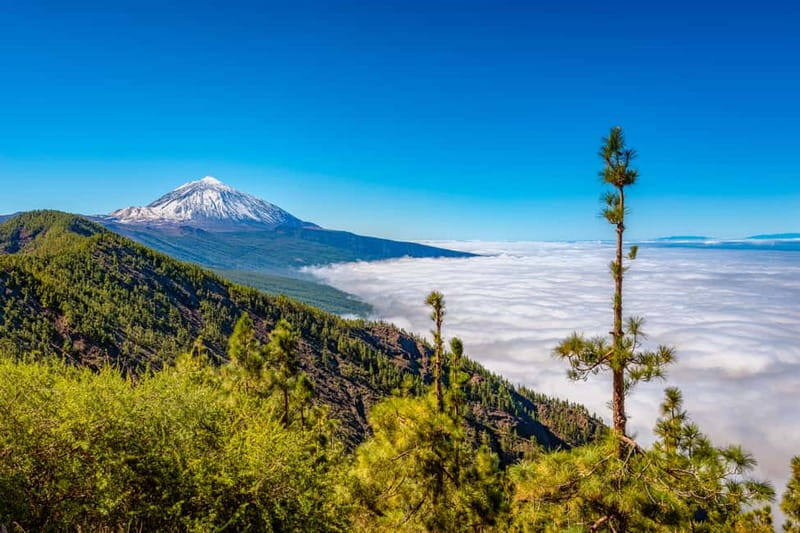 From South Tenerife: Mount Teide Hiking Day Trip & Cable Car - Who will get the most from this tour