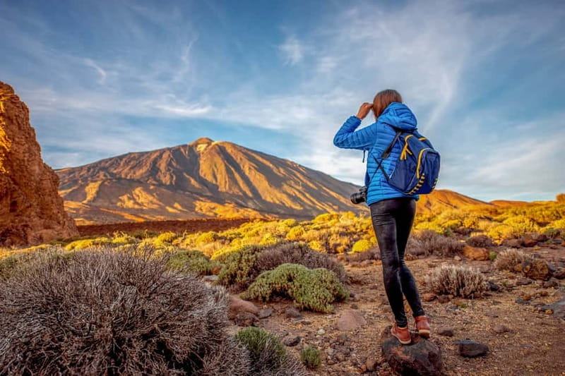 From South Tenerife: Mount Teide Hiking Day Trip & Cable Car - A quick route from the coast to the volcano