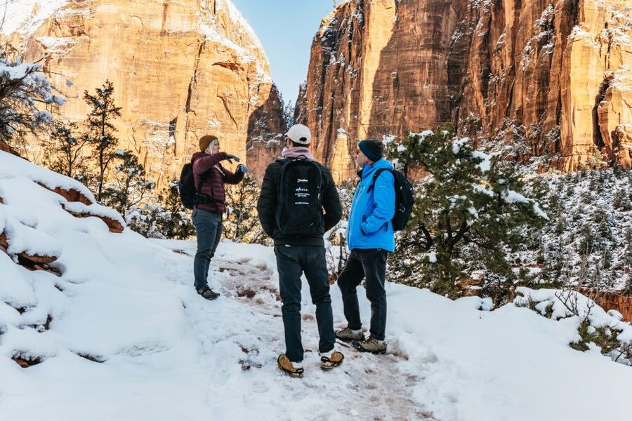 From Springdale: 4-hour Zion Canyon Scenic Hiking Tour - What the four-hour Zion Canyon hike is really like