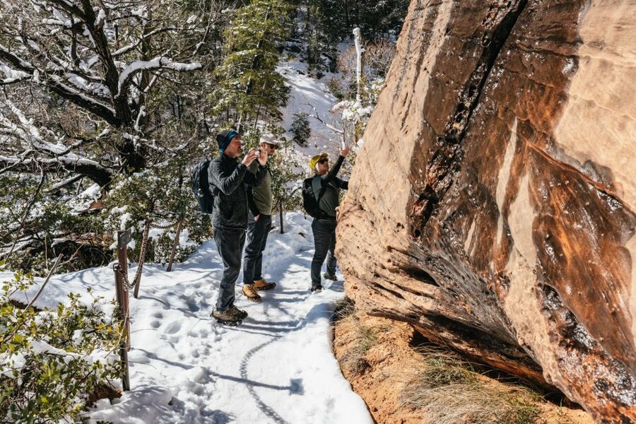 From Springdale: 4-hour Zion Canyon Scenic Hiking Tour - Should you book the Zion Canyon Scenic Hiking Tour?