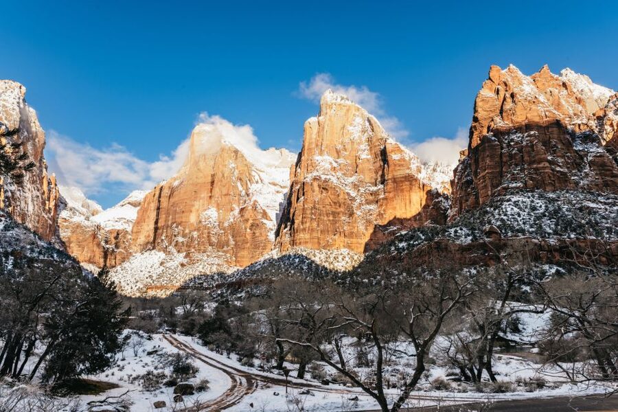 From Springdale: 4-hour Zion Canyon Scenic Hiking Tour - Red rock walls, canyon details, and the value of a guide