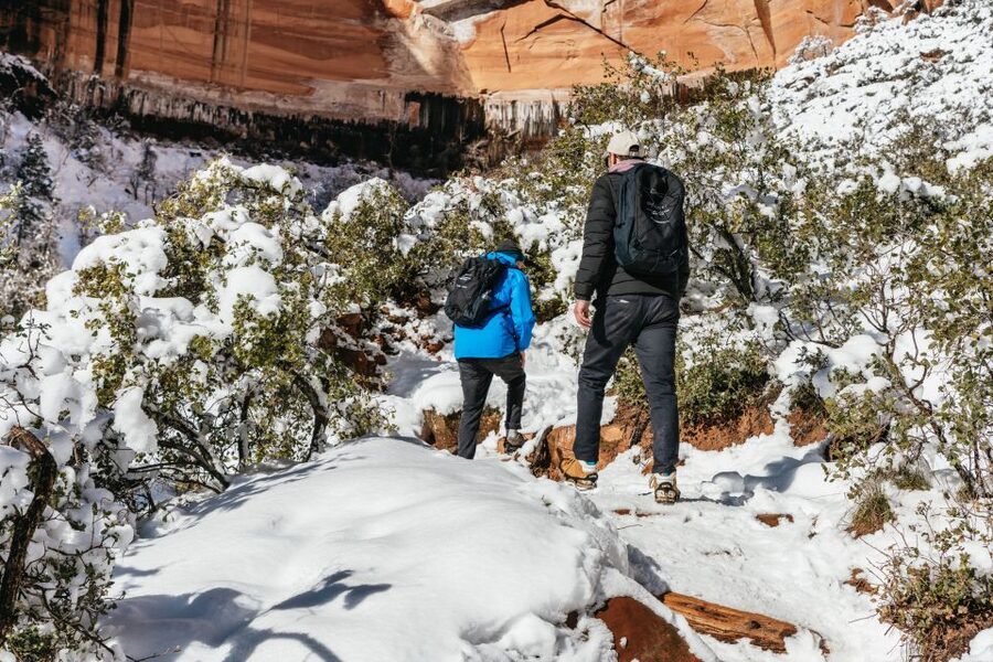 From Springdale: 4-hour Zion Canyon Scenic Hiking Tour - The shuttle ride and meeting point