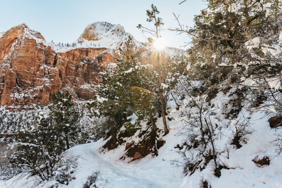 From Springdale: 4-hour Zion Canyon Scenic Hiking Tour - What to pack for a comfortable walk