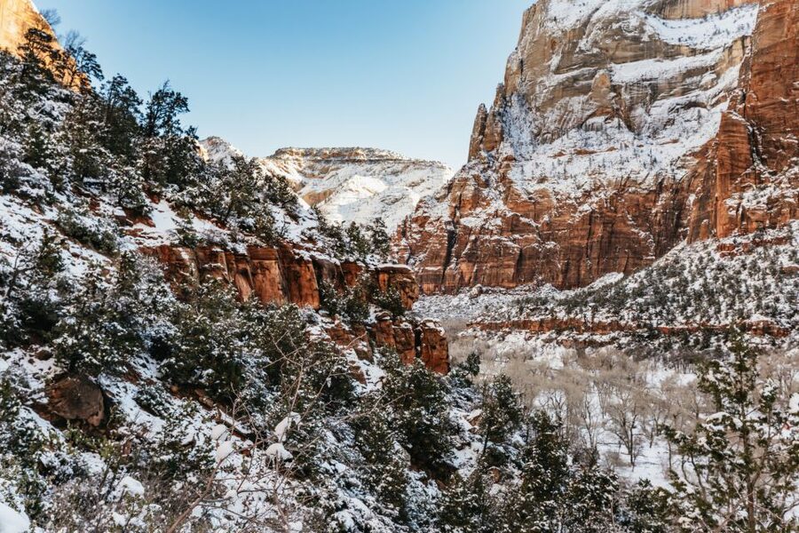 From Springdale: 4-hour Zion Canyon Scenic Hiking Tour - Who will get the most from this tour?