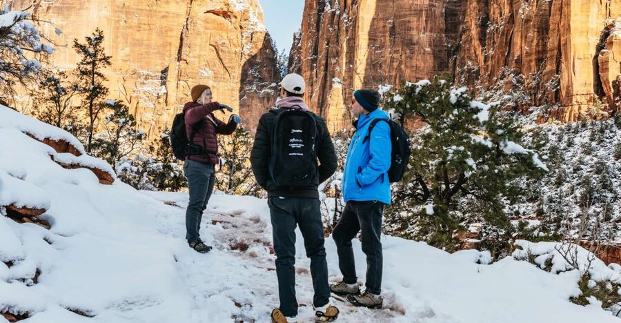 From Springdale: 4-hour Zion Canyon Scenic Hiking Tour - Choosing between short hikes and one hard route