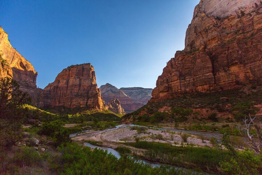 From Springdale: Greater Zion Scenic Hiking Tour - What the day can look like on the trail