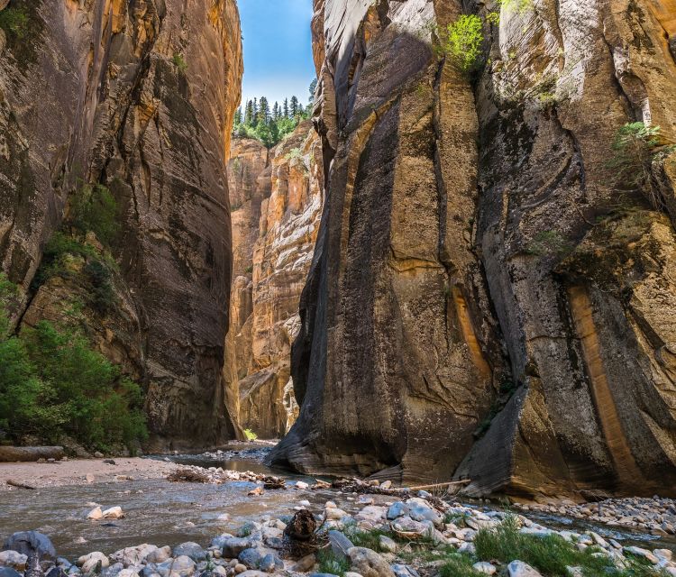 From Springdale: The Zion Narrows Hike with Lunch - The 45-minute ride through Zion Canyon