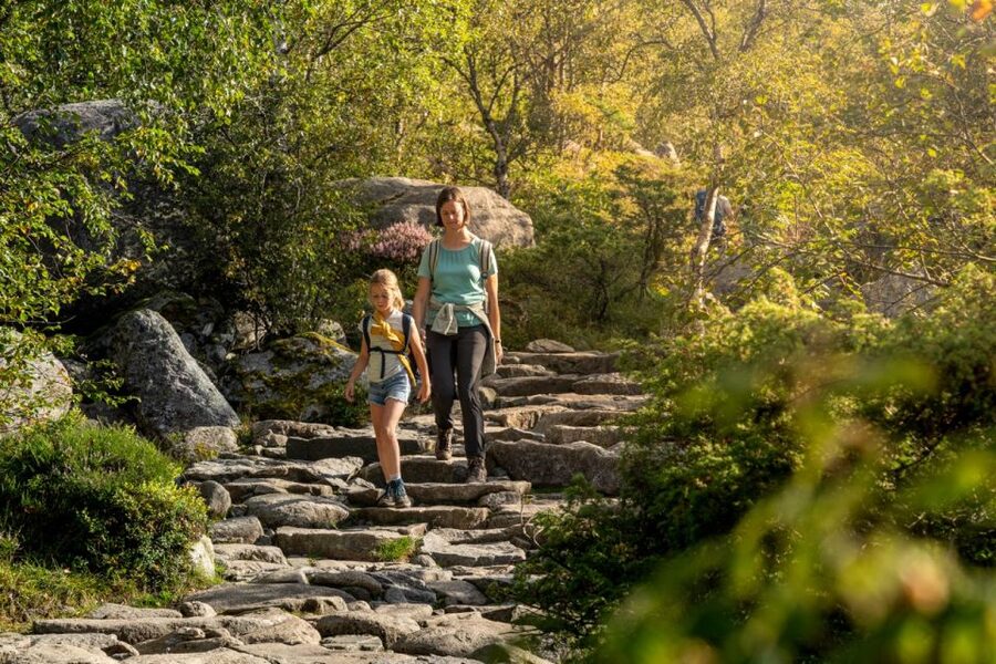 From Stavanger: Pulpit Rock Guided Hike with Pickup - Practical tips for a smoother day