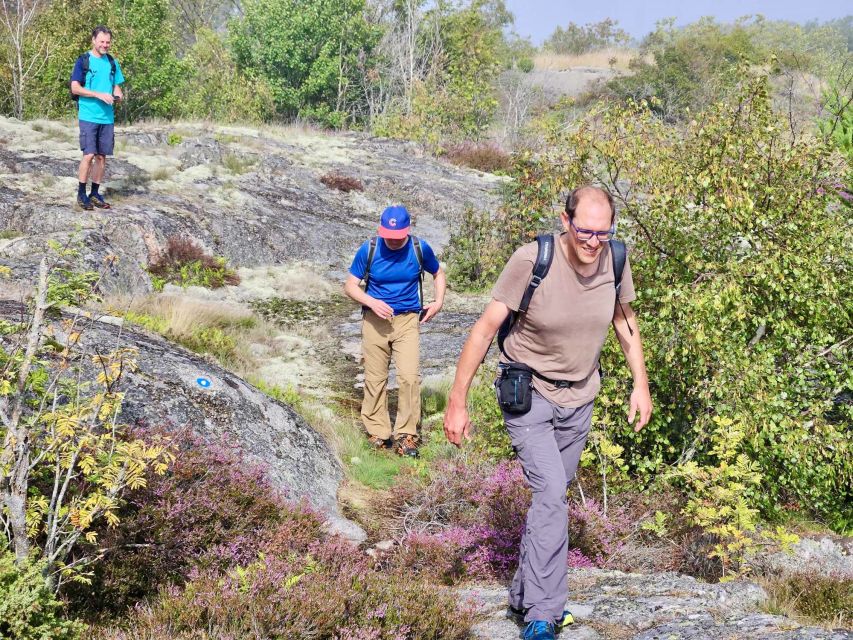 From Stockholm: Archipelago Hike to Landsort Lighthouse - Should you book the Landsort Lighthouse outing?
