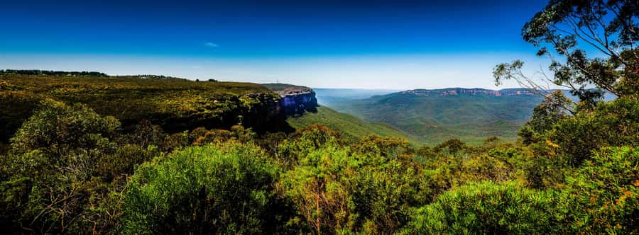 From Sydney: Blue Mountains Small-Group Tour Picnic & Hike - Key points to know before booking