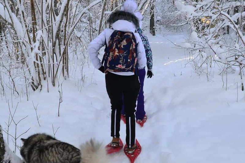 From Tallinn: Guided Bog-Shoe Hiking Tour - Key things to know before you book