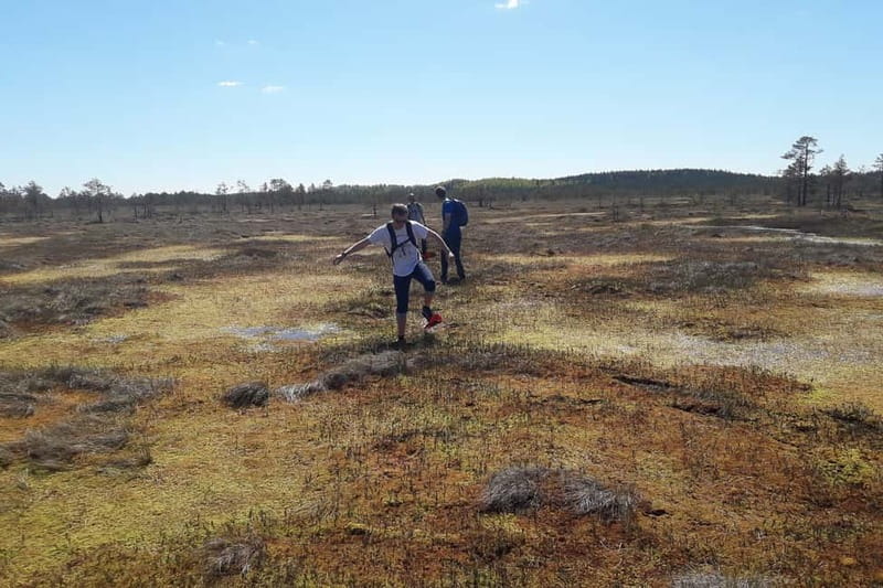 From Tallinn: Guided Bog-Shoe Hiking Tour - Crossing Kõnnu Suursoo on foot