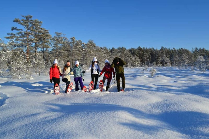 From Tallinn: Guided Bog-Shoe Hiking Tour - A different bog in every season