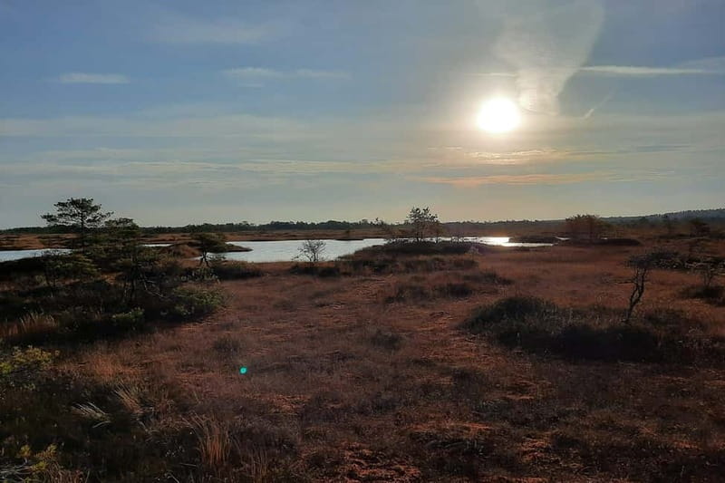 From Tallinn: Guided Bog-Shoe Hiking Tour - How the guides shape the walk