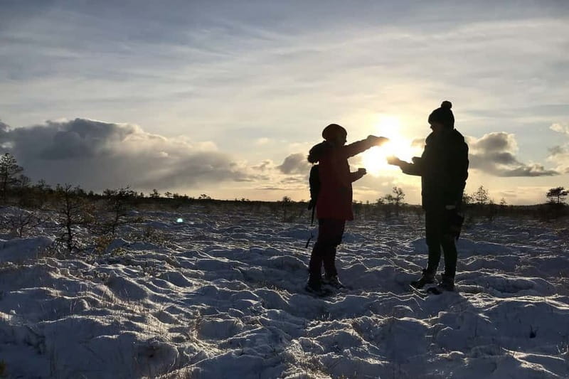 From Tallinn: Guided Bog-Shoe Hiking Tour - Price, pace, and what is included