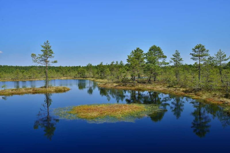 From Tallinn: Guided Bog-Shoe Hiking Tour - Who will get the most from this tour