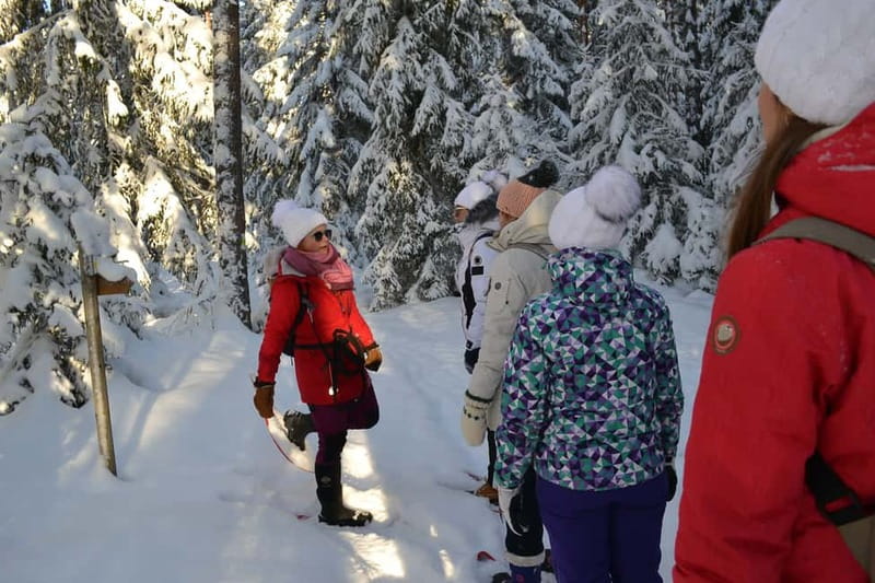 From Tallinn: Guided Bog-Shoe Hiking Tour - Leaving Tallinn by van