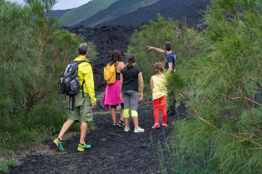 From Taormina: Etna Tour with Hiking, Cave Visit, & Tastings - Extinct craters and black lava at 1,910 meters