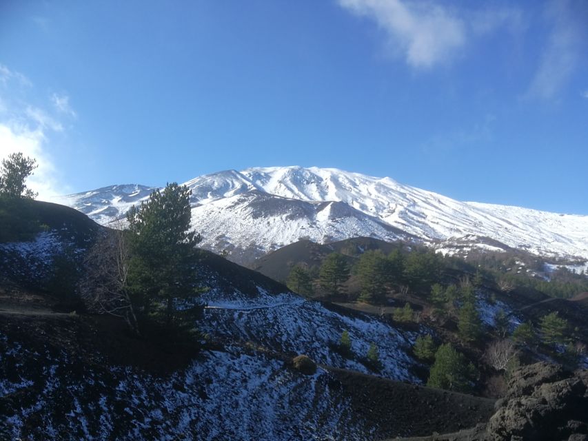 From Taormina: Half-Day Mount Etna Morning Trek - Lunch and wine at an Etna winery